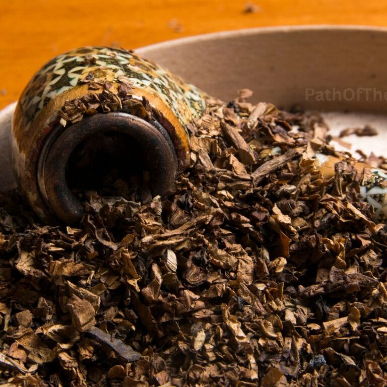 Path-of-the-thuth-Peru-ayahuasca13